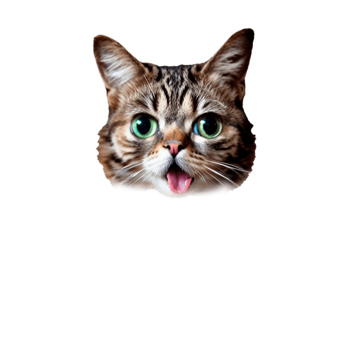 Head